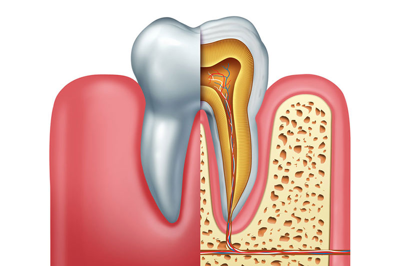 Clínica dental El Pilar tratamientos endodoncia